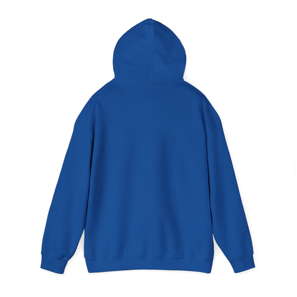 Needoh Addict Hoodie — Colorful Kawaii Squishy Toy Lover Pullover