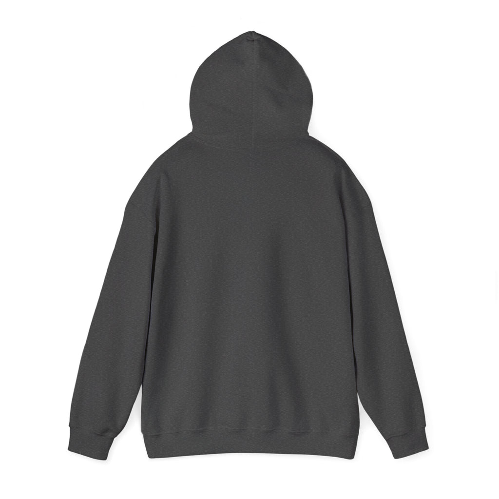 Needoh Addict Hoodie — Colorful Kawaii Squishy Toy Lover Pullover