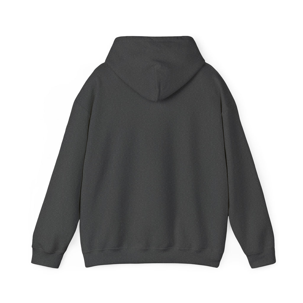 Needoh Addict Hoodie — Colorful Kawaii Squishy Toy Lover Pullover