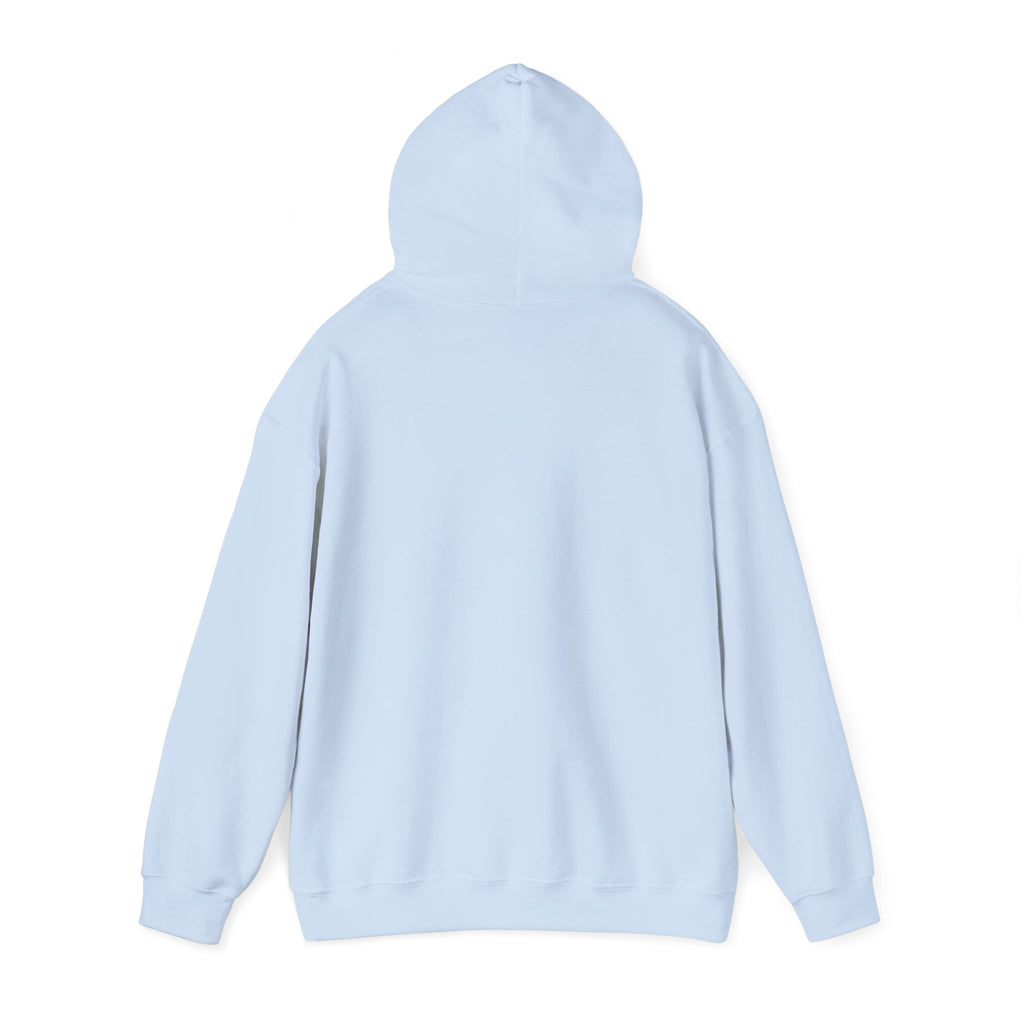 Needoh Addict Hoodie — Colorful Kawaii Squishy Toy Lover Pullover
