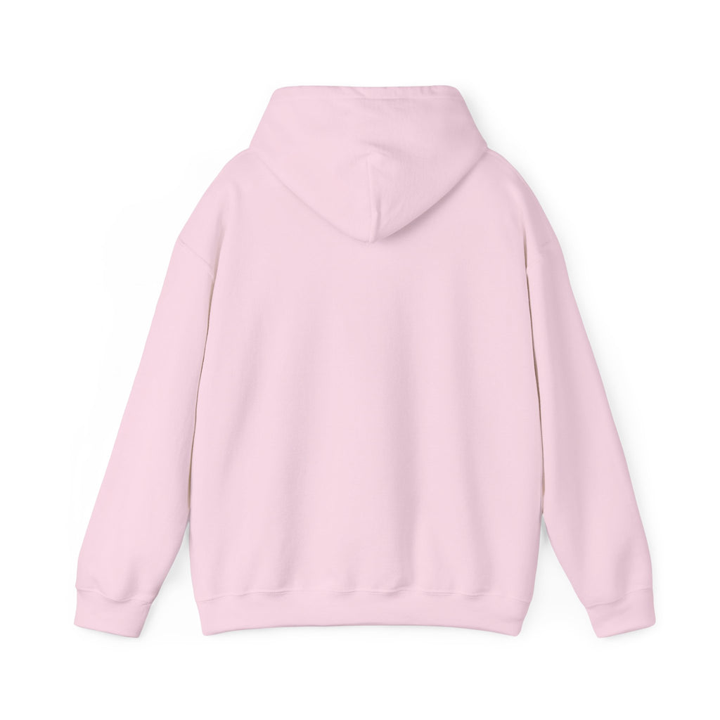Needoh Addict Hoodie — Colorful Kawaii Squishy Toy Lover Pullover