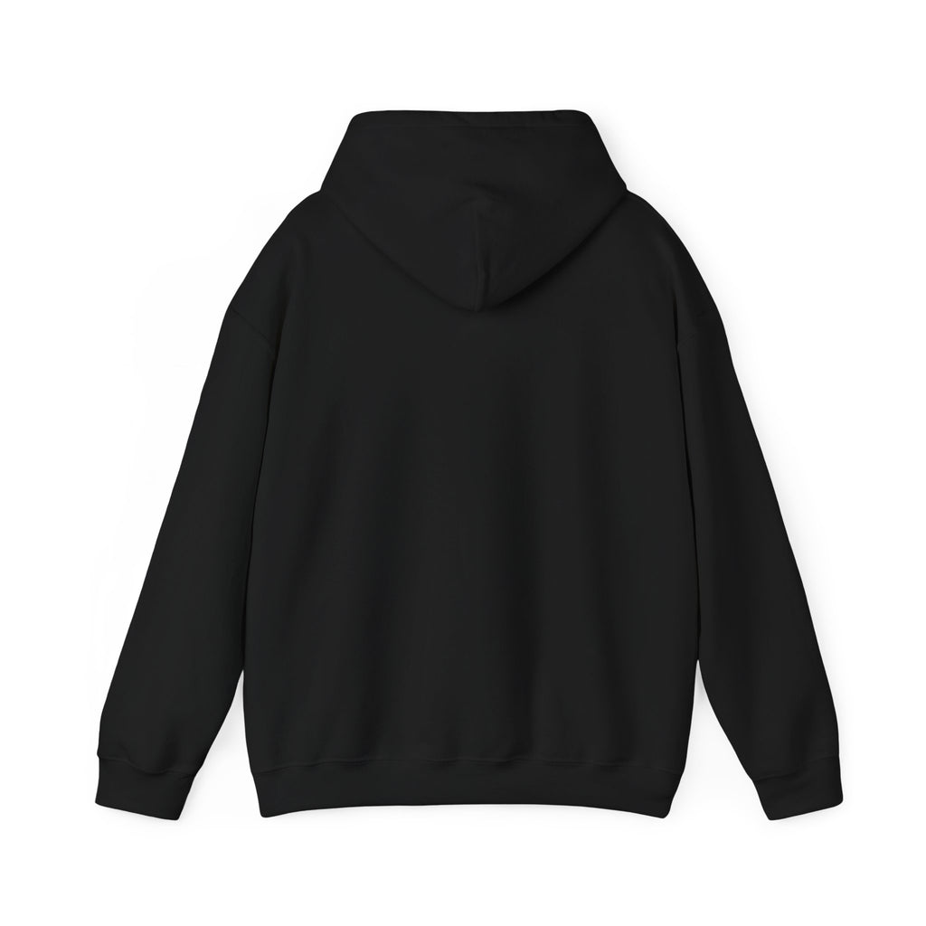 Needoh Addict Hoodie — Colorful Kawaii Squishy Toy Lover Pullover