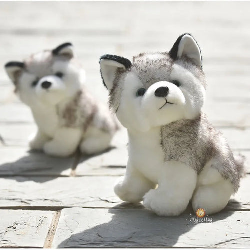 Cute Husky Dog Plush